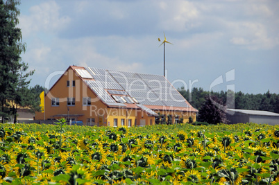 Sonnenblumenfeld und Solaranlage - sunflower field and solar plant 01