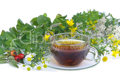Tee Kräuter - tea herbal 01