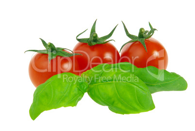 Tomate und Basilikum - tomato and basil 20