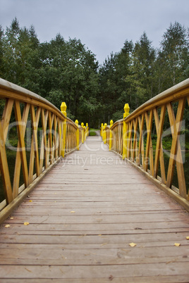Wood bridge over water to forest perspective view