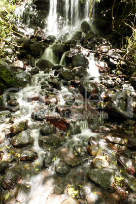 Small waterfall in Andean cloudforest