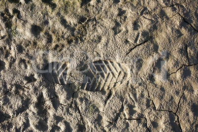 Human footprint in mud