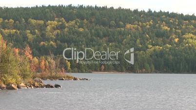 Panorama: Lake in fall forest