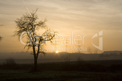 Sonnenaufgang im Nebel