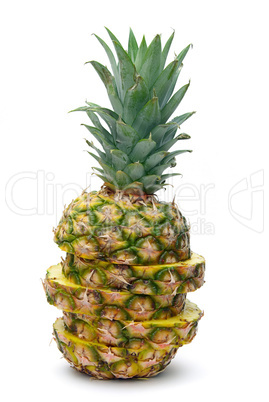 Ananas - pineapple 03