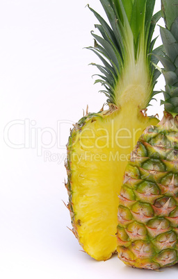 Ananas - pineapple 22