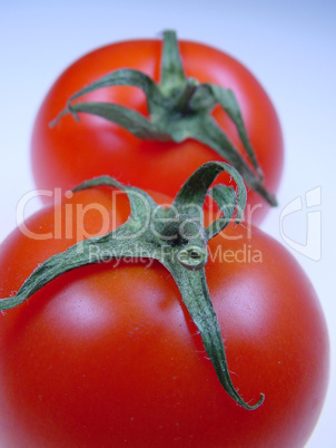 Rote Tomate
