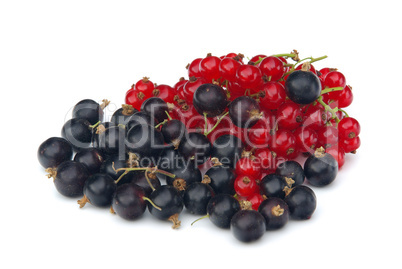 Johannisbeere - currant 17