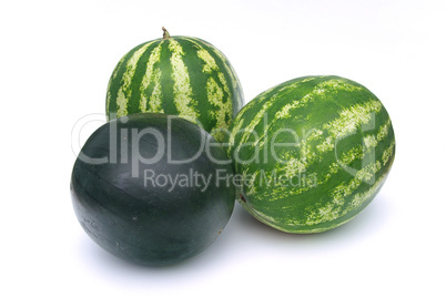Melone - watermelon 06