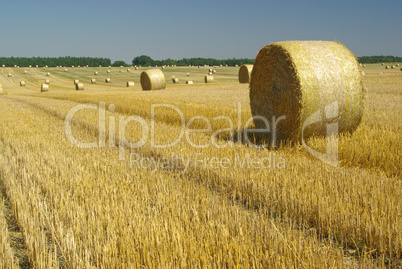 Strohballen - bale of straw 19