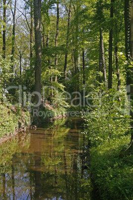 Kleiner Fluss im Osnabrücker Land