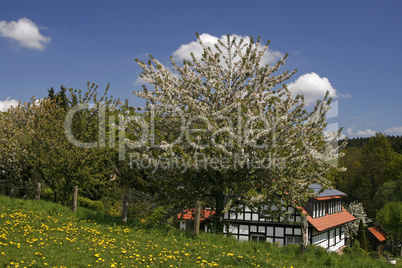 Frühlingslandschaft im Osnabrücker Land