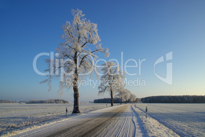 Rauhreif Straße - hoarfrost road 03