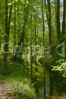 Kleiner Fluss im Osnabrücker Land