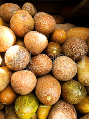 Ripe cucumbers