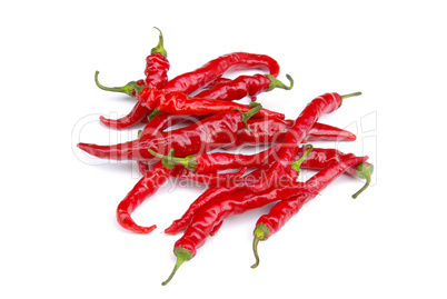 Peperoni - chile pepper 08
