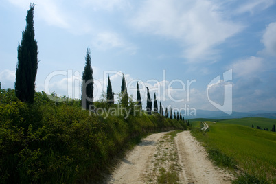 Toskanische Landschaft