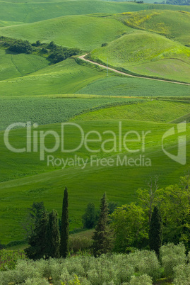 Landschaft in der Toskana, Italien - Landscape in tuscany, italy