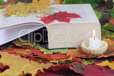 Candle and the book on autumn leaves
