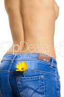 Naked young woman in jeans with a yeallow flower