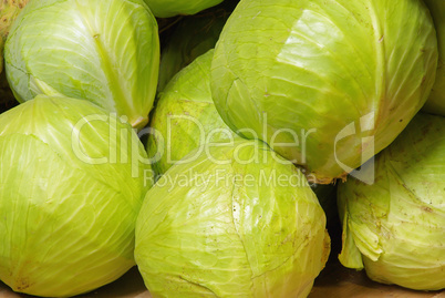 Weißkohl - white cabbage 01