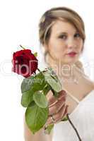 schöne junge Frau in einem Brautkleid mit Schleier mit einer Rose