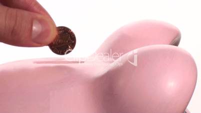 Sparschwein wird gefüttert
