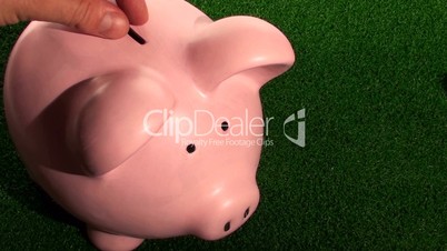 Sparschwein wird gefüttert