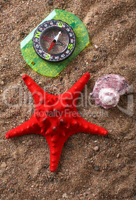 sand, starfish and compass
