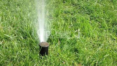 Water sprinkler showering grass