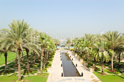Palm trees area of luxurious hotel , Dubai, UAE
