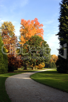 Herbst im Park