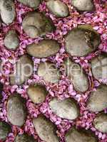 Steine mit pinken Fliederblüten