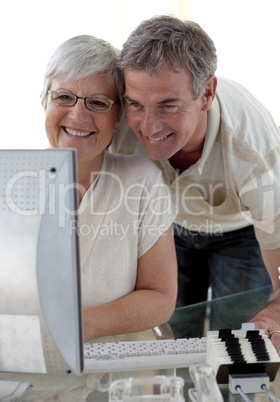 Senior couple using a computer at home