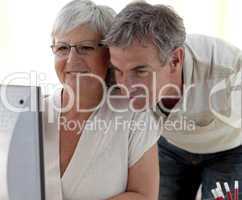 Portrait of senior couple using a computer at home