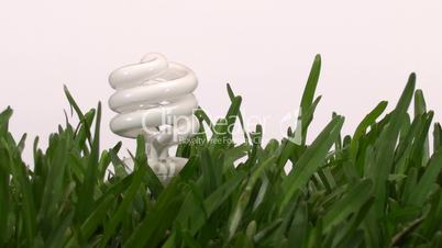 green energy bulb in grass against white