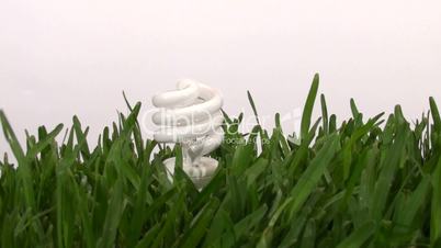 green energy bulb in grass against white