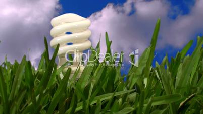 green energy bulb in grass timelapse