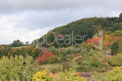 Odenwald im Herbst