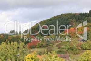 Odenwald im Herbst