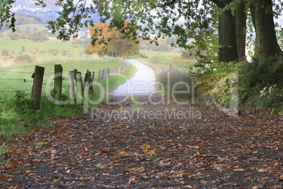 Waldweg