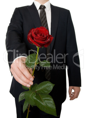 Mann überreicht eine Rose