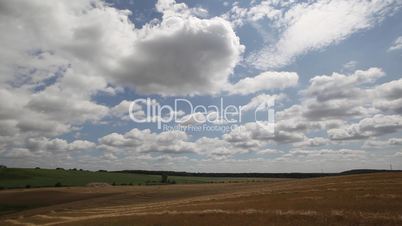 In grain field