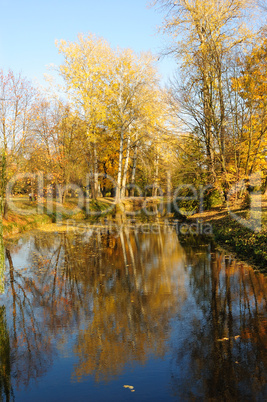 Sunset in a park with tree reflection on the water