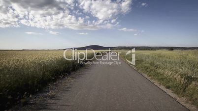 Asphalt road through field