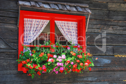 Flowers at the Window, Dolomites, Italy, August 2007