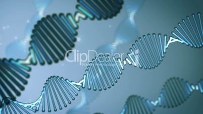 Rotating DNA loop