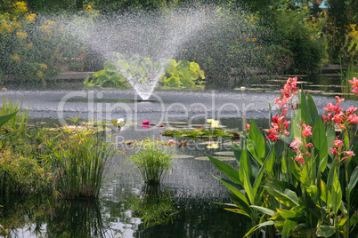 Water Garden With Fountain