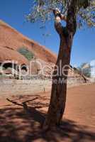 Uluru, Ayers Rock, Northern Territory, Australia, August 2009