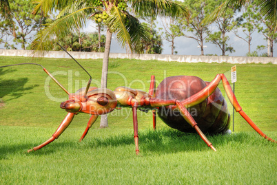 Giant Ant, West Palm Beach, Florida, January 2009